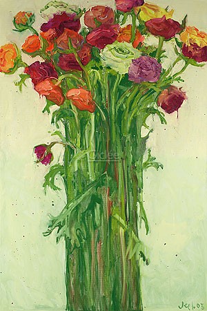 Van der Vegt, Ranunculus