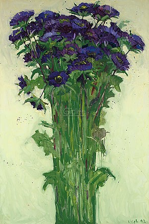 Van der Vegt, Michaelmas daisy