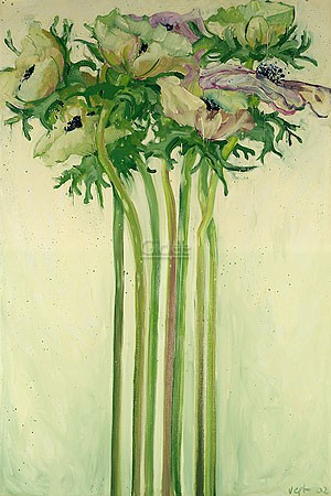 Van der Vegt, Anemones