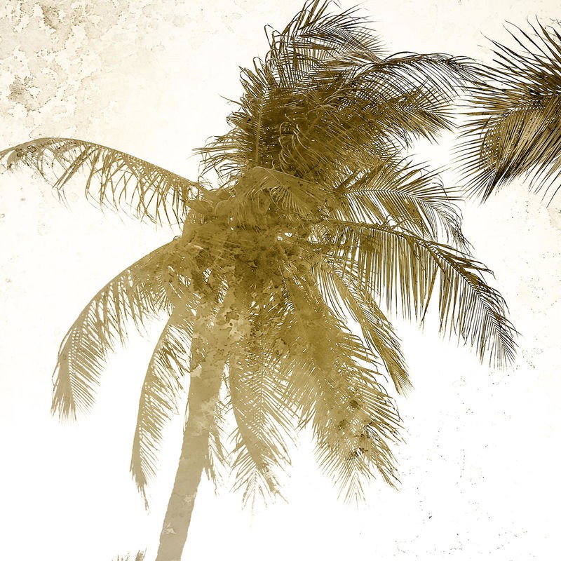 Kimberly Allen, Bright Palm Gold 1 (Palme, Baum, Palmblätter, Wind, Perspektive, Fotokunst, Pflanzen, Treppenhaus,  Wohnzimmer, Wunschgröße, grün/beige)
