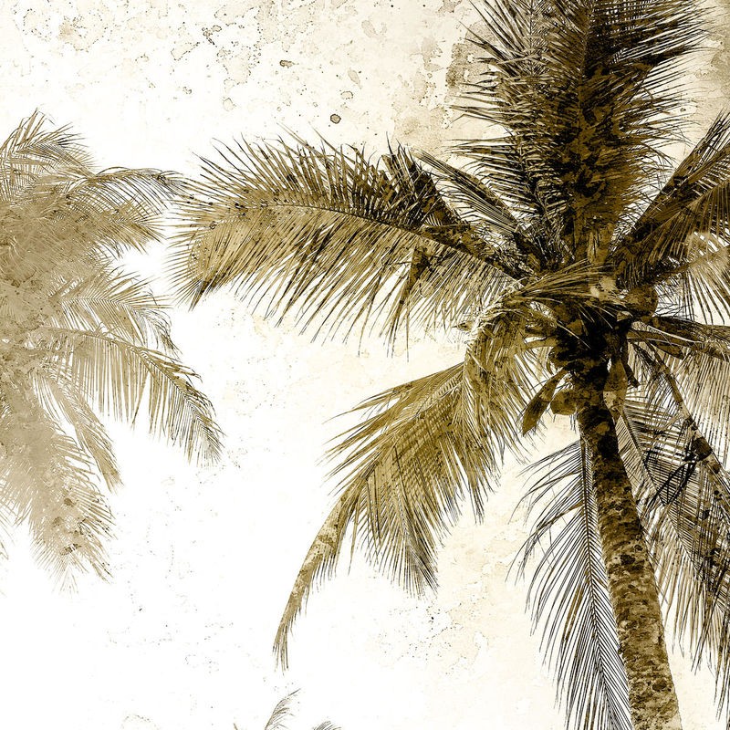 Kimberly Allen, Bright Palm Gold 2 (Palme, Baum, Palmblätter, Wind, Perspektive, Fotokunst, Pflanzen, Treppenhaus,  Wohnzimmer, Wunschgröße, grün/beige)