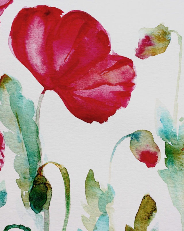 Boho Hue Studio, Pixie Pop 3 (Blumen, Blüten,  Mohnblüten, Sommerblumen, Botanik, Blütenblätter, Aquarell, Treppenhaus, Schlafzimmer, Wohnzimmer, Wunschgröße, Malerei, bunt)
