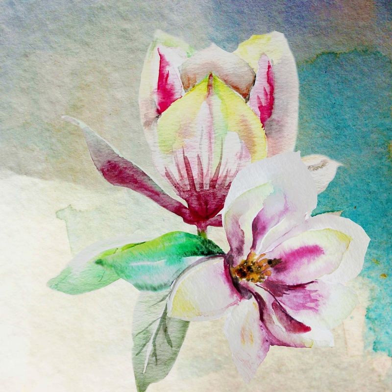 Boho Hue Studio, Magnolia Pair (Blumen, Blüten, Magnolie, Botanik, Blütenblätter Treppenhaus, Schlafzimmer, Wohnzimmer, Wunschgröße, Malerei, bunt)
