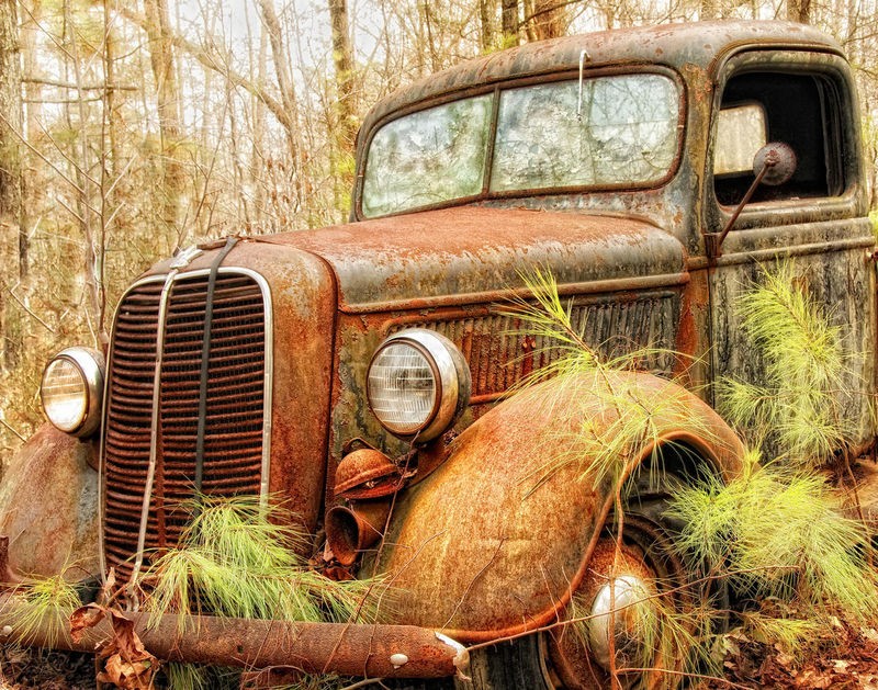 Danny Head, Rescue Me (Natur, Wald, Auto, Pickup, Rostlaube, Schrottauto, Verfall, verrottet, rostig, Nostalgie, Melancholie, Wohnzimmer, Treppenhaus, Fotokunst, Wunschgröße, bunt)