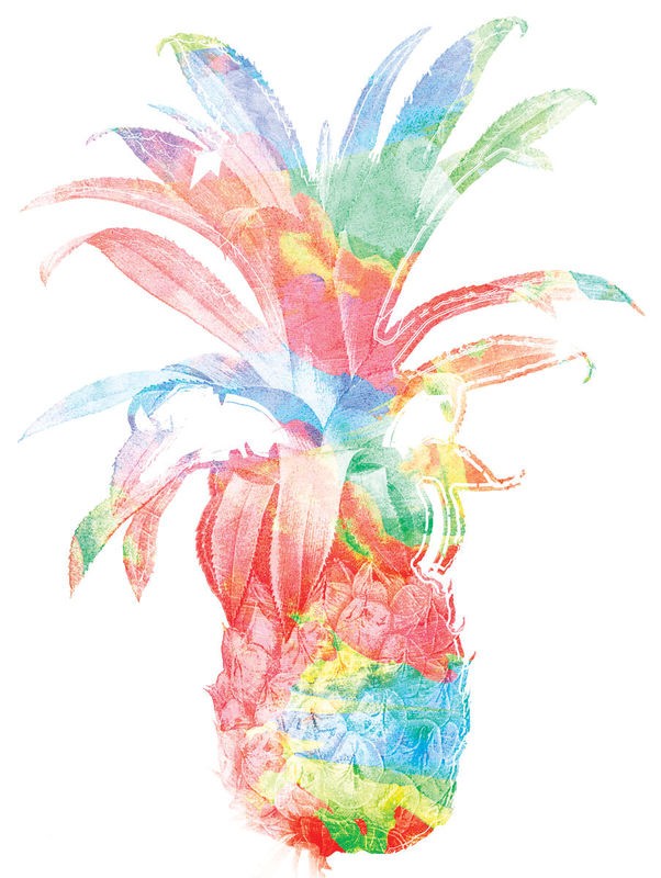 Jace Grey, Colorful pineapple clean (FRÜCHTE)