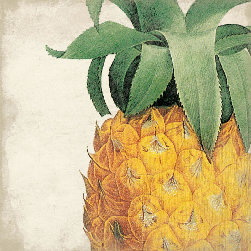 Jace Grey, Pineapple (FRÜCHTE)