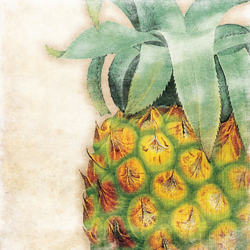 Jace Grey, Tropical Pineapple (FRÜCHTE)