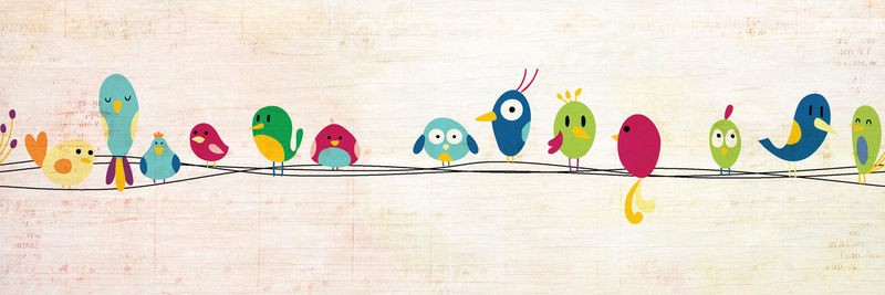 Kimberly Allen, On the Wire 1 (Vögel, lustig, witzig, auf Draht, Grafik, Wohnzimmer, Treppenhaus, Kinderzimmer  Wunschgröße, bunt)