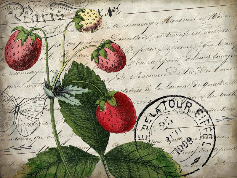 Kimberly Allen, Vintage Strawberry (Erdbeeren, Postkarte, Vintage, Nostalgie,  Kalligrafie, Wohnzimmer, Treppenhaus, Küche, Esszimmer,  Wunschgröße, bunt)