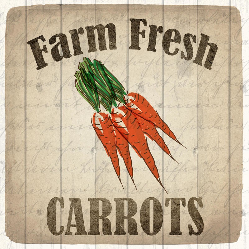 Kimberly Allen, Farm Fresh Carrots (Frische Karotten, Möhren, Gemüse, Holzpanele, Vintage, Retro, Küche, Esszimmer, Treppenhaus, Wunschgröße, Malerei, bunt)