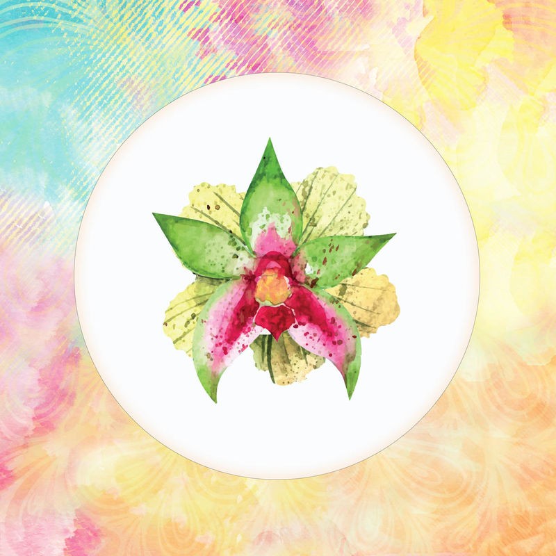 Kimberly Allen, Tropical Floral Square 2 (Blume, Blüte, Studie, Kreis, Scheibe, abstakter Hintergrund, modern, Treppenhaus, Wunschgröße, modern, bunt)