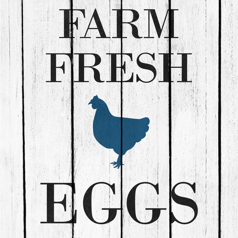 Kimberly Allen, Farm Fresh Eggs (Schild, Werbung, Eier, Farm, Huhn, Henne, Hühnervogel, Tier, Nutztier, Silhouette, Holzpanele, Küche, Esszimmer, Treppenhaus, Wunschgröße, Malerei, schwarz/weiß/blau)