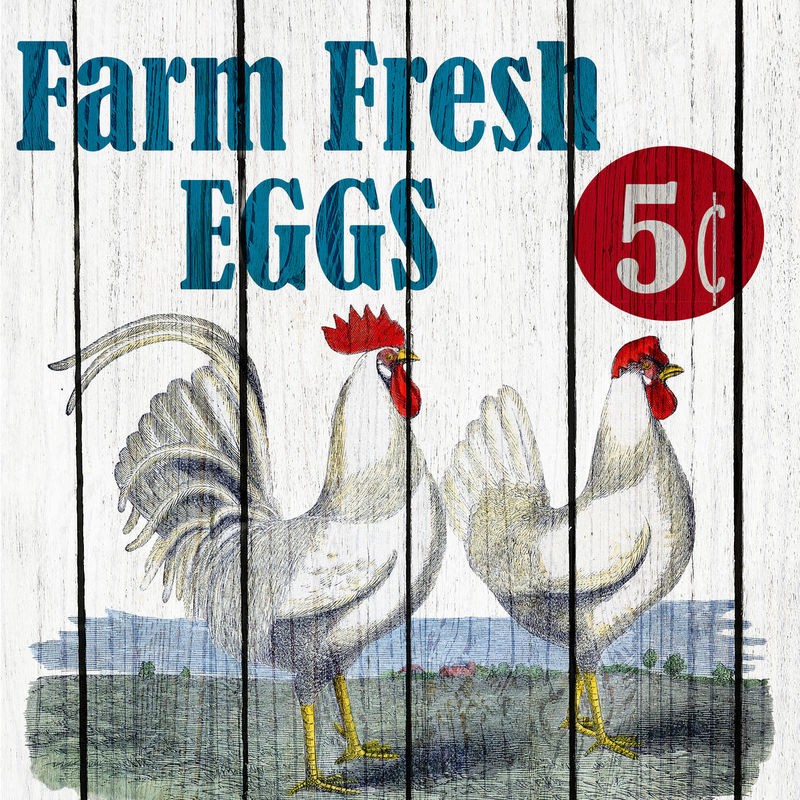Kimberly Allen, Farm Fresh 1 (Schild, Werbung, Eier, Farm, Huhn, Henne, Hahn, Gockel, Hühnervogel, Tier, Nutztier, Silhouette, Holzpanele, Küche, Esszimmer, Treppenhaus, Wunschgröße, Malerei, bunt)