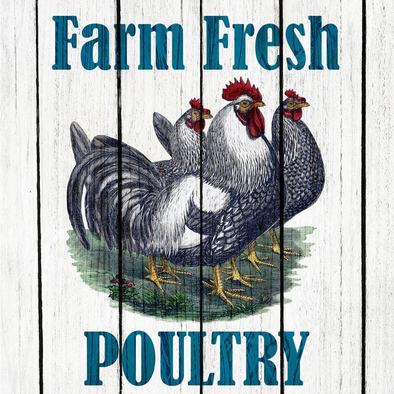 Kimberly Allen, Farm Fresh 2 (Schild, Werbung, Eier, Farm, Huhn, Henne, Hahn, Gockel, Hühnervogel, Tier, Nutztier, Silhouette, Holzpanele, Küche, Esszimmer, Treppenhaus, Wunschgröße, Malerei, bunt)
