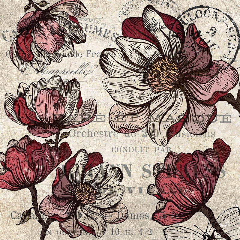 Kimberly Allen, Magnolia Series 3 (Magnolien, Blumen, Frankreich, Kalligrafie, Postkarte, Nostalgie, Grafik, Wohnzimmer, Treppenhaus, Schlafzimmer,  Wunschgröße, beige/rot)