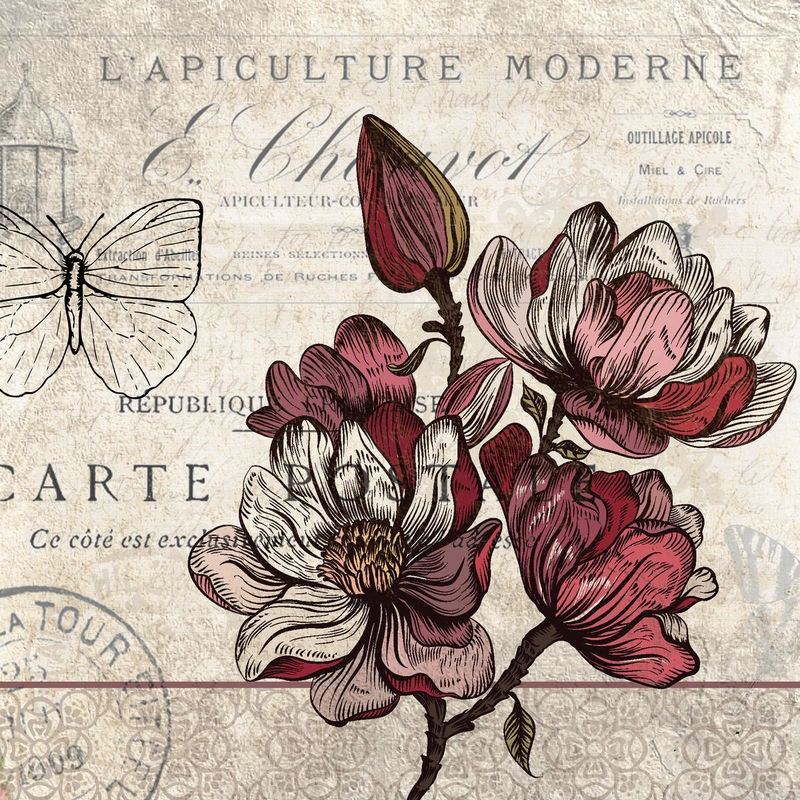 Kimberly Allen, Magnolia Square 1 (Magnolien, Blumen, Frankreich, Kalligrafie, Postkarte, Nostalgie, Grafik, Wohnzimmer, Treppenhaus, Schlafzimmer,  Wunschgröße, beige/rot)