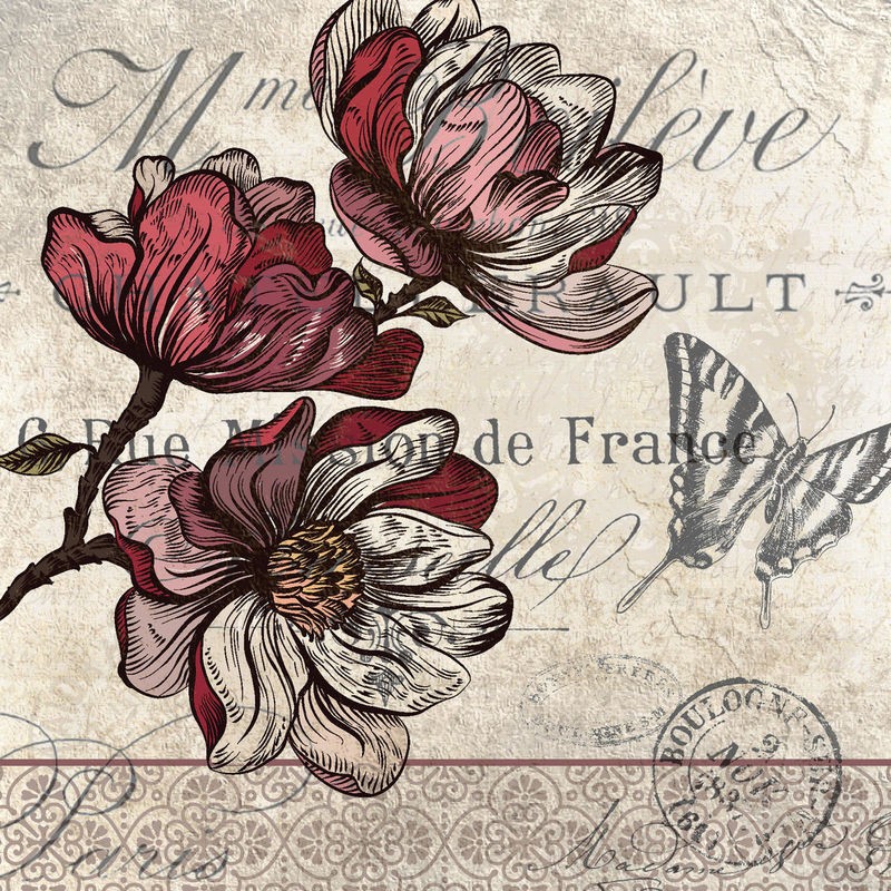 Kimberly Allen, Magnolia Square 2 (Magnolien, Blumen, Frankreich, Kalligrafie, Postkarte, Nostalgie, Grafik, Wohnzimmer, Treppenhaus, Schlafzimmer,  Wunschgröße, beige/rot)