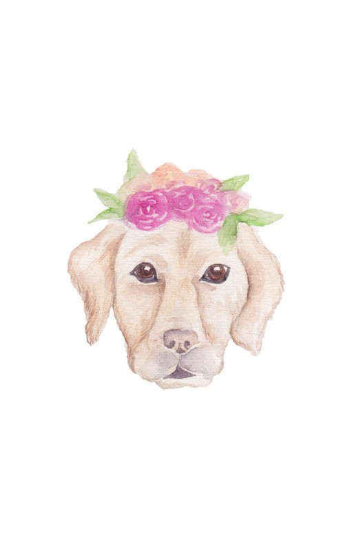 Pam Varacek, Petunia Pup (Hund, Kopf, Tierportrait, Blumenkranz, Petunien, Studie, Treppenhaus, Wohnzimmer, Grafik, Wunschgröße, bunt)