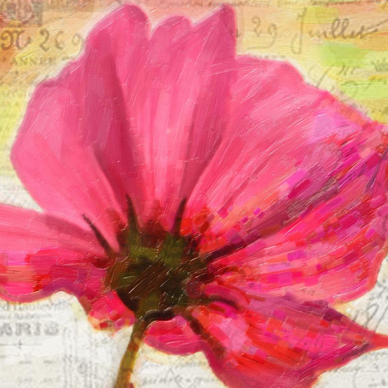 Taylor Greene, Red Poppy II (BLUMEN)