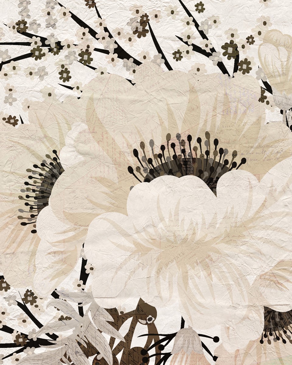 Kimberly Allen, Cream Bloom 2 (Blume, Blüte, Grafik, dekorativ,  Wohnzimmer, Treppenhaus, Schlafzimmer, Wunschgröße, beige/grau)