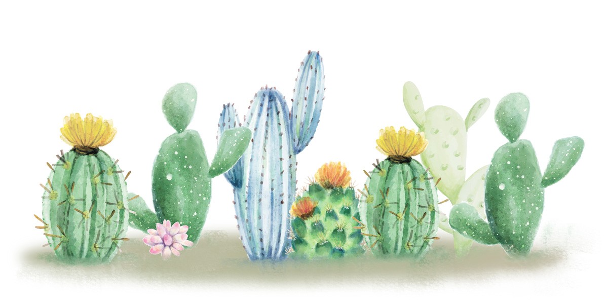 Kimberly Allen, Cactus Dreaming (Kaktus, Kakteen, Pflanzen, dekorativ,  Grafik, Wohnzimmer, Treppenhaus, Küche, Wunschgröße, bunt)
