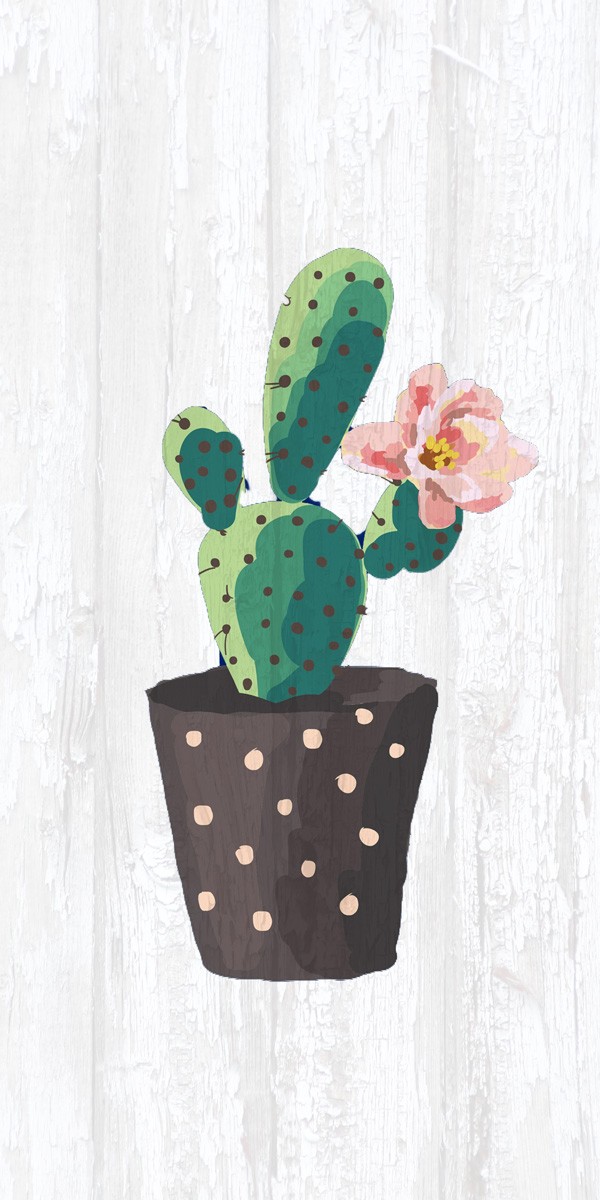 Kimberly Allen, Cactus Panel 1 (Kaktus, Kakteen, Kakteenblüten, Blumentopf, Pflanzen,  dekorativ,  Grafik, Wohnzimmer, Treppenhaus, Küche, Wunschgröße, bunt)