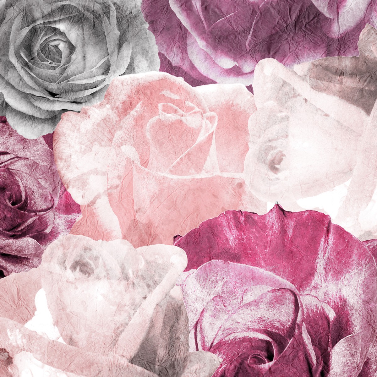 Kimberly Allen, Rose Blooms 2 (Rosen, Blüten, Rosenstrauß,   dekorativ,  Grafik, Wohnzimmer, Treppenhaus, Schlafzimmer, Wunschgröße, rosé)