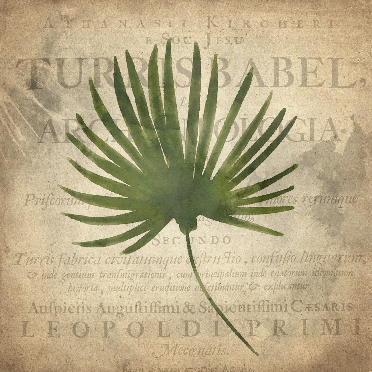 Kimberly Allen, Palms A (Blatt, Palmenblatt, Pflanze, Floral, Zeitungsdruck, Typografie, ,Grafik, Wohnzimmer, Treppenhaus, Wunschgröße, beige/grün)
