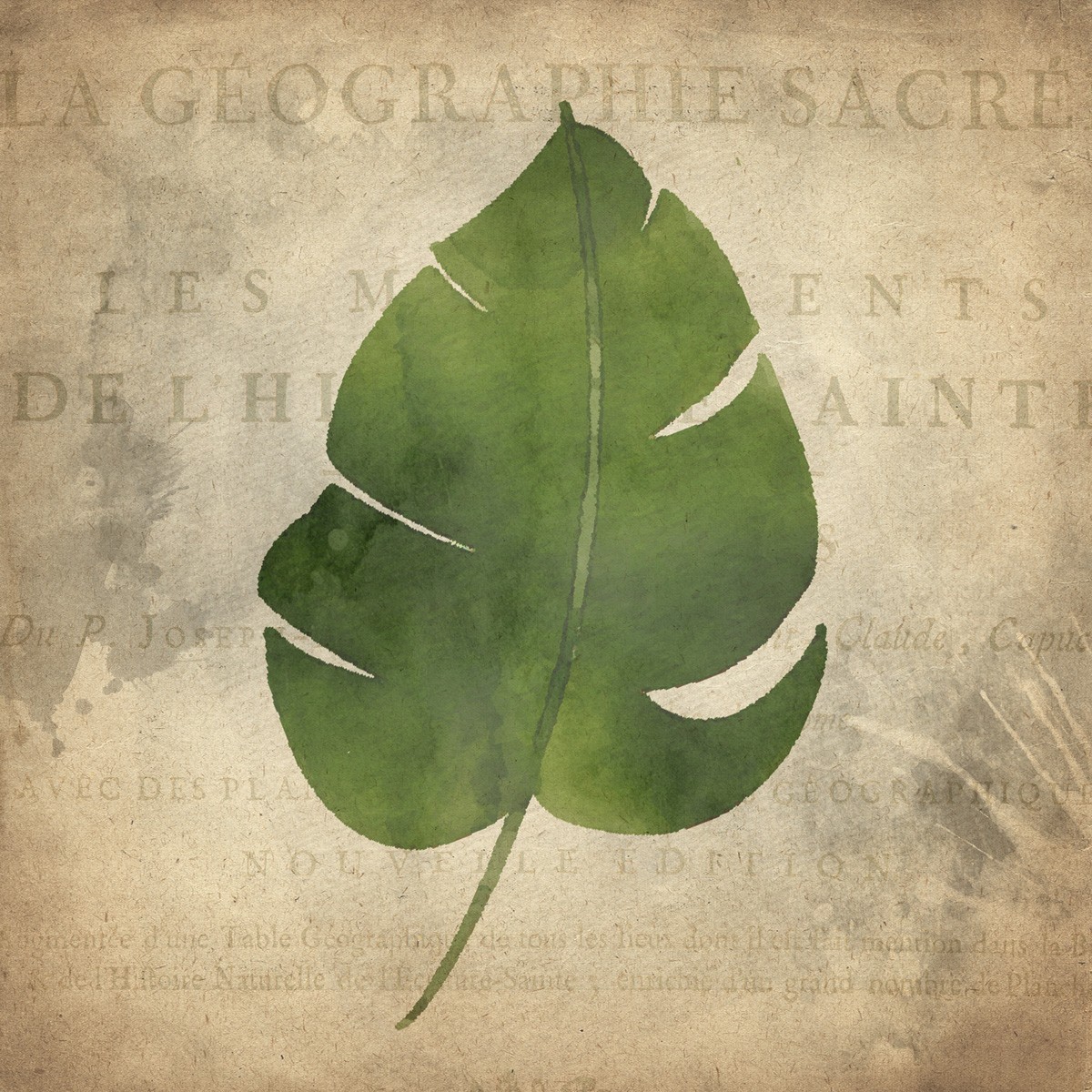 Kimberly Allen, Palms B (Blatt, Pflanze, Floral, Zeitungsdruck, Typografie, ,Grafik, Wohnzimmer, Treppenhaus, Wunschgröße, beige/grün)