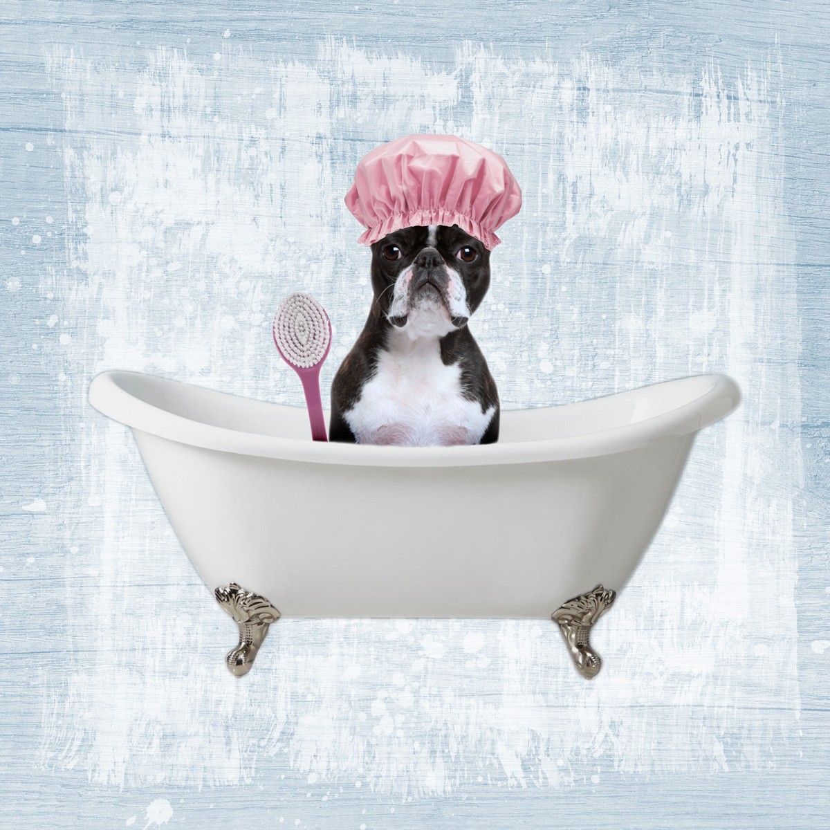 Marcus Prime, Bath Giggles 2 (Hund, Badewanne, Badehaube,  witzig, lustig, niedlich, Jugendzimmer, Badezimmer, Grafik, Wunschgröße, bunt)
