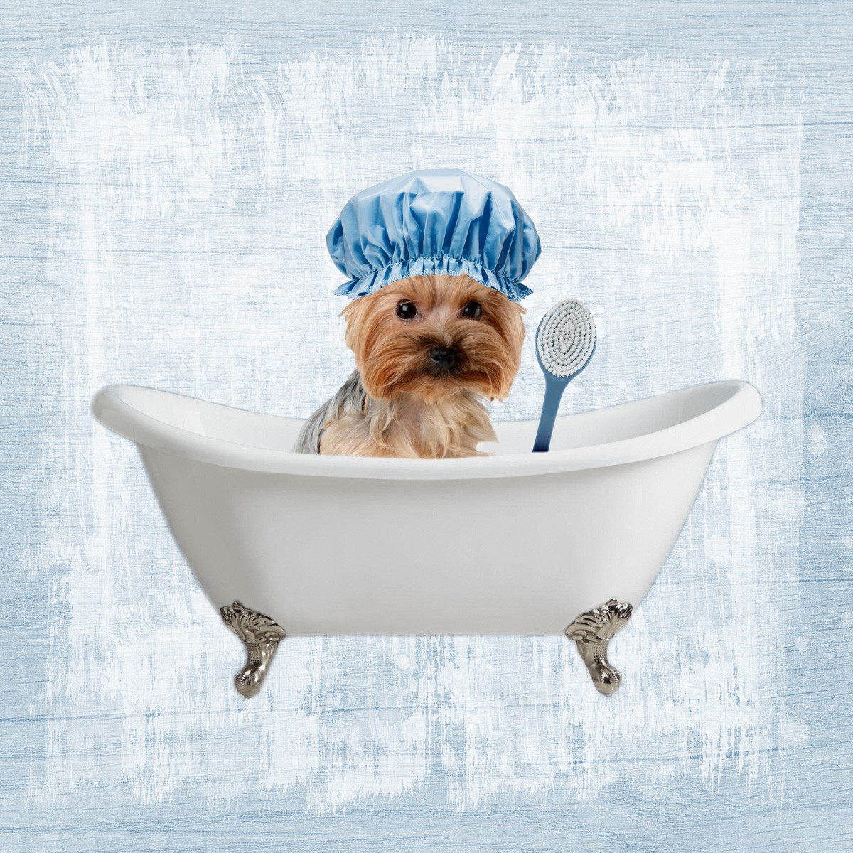 Marcus Prime, Bath Giggles 4 (Hund, Terrier, Badewanne, Badehaube,  witzig, lustig, niedlich, Jugendzimmer, Badezimmer, Grafik, Wunschgröße, bunt)