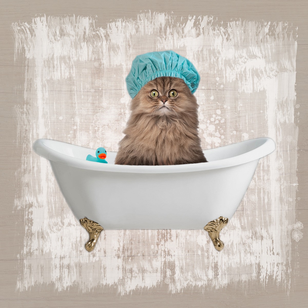 Marcus Prime, Kitty Baths 2 (Katze, Perser, Badewanne, Badehaube,  witzig, lustig, niedlich, Jugendzimmer, Badezimmer, Grafik, Wunschgröße, bunt)