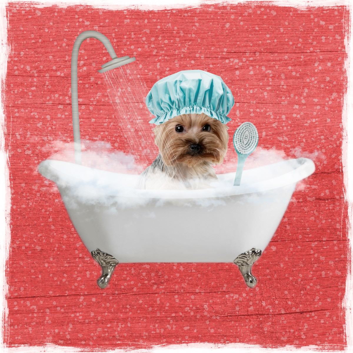 Marcus Prime, Steamy Bath 1 (Hund, Terrier, Badewanne, Dusche, Badeschaum, Badehaube,  witzig, lustig, niedlich, Jugendzimmer, Badezimmer, Grafik, Wunschgröße, bunt)