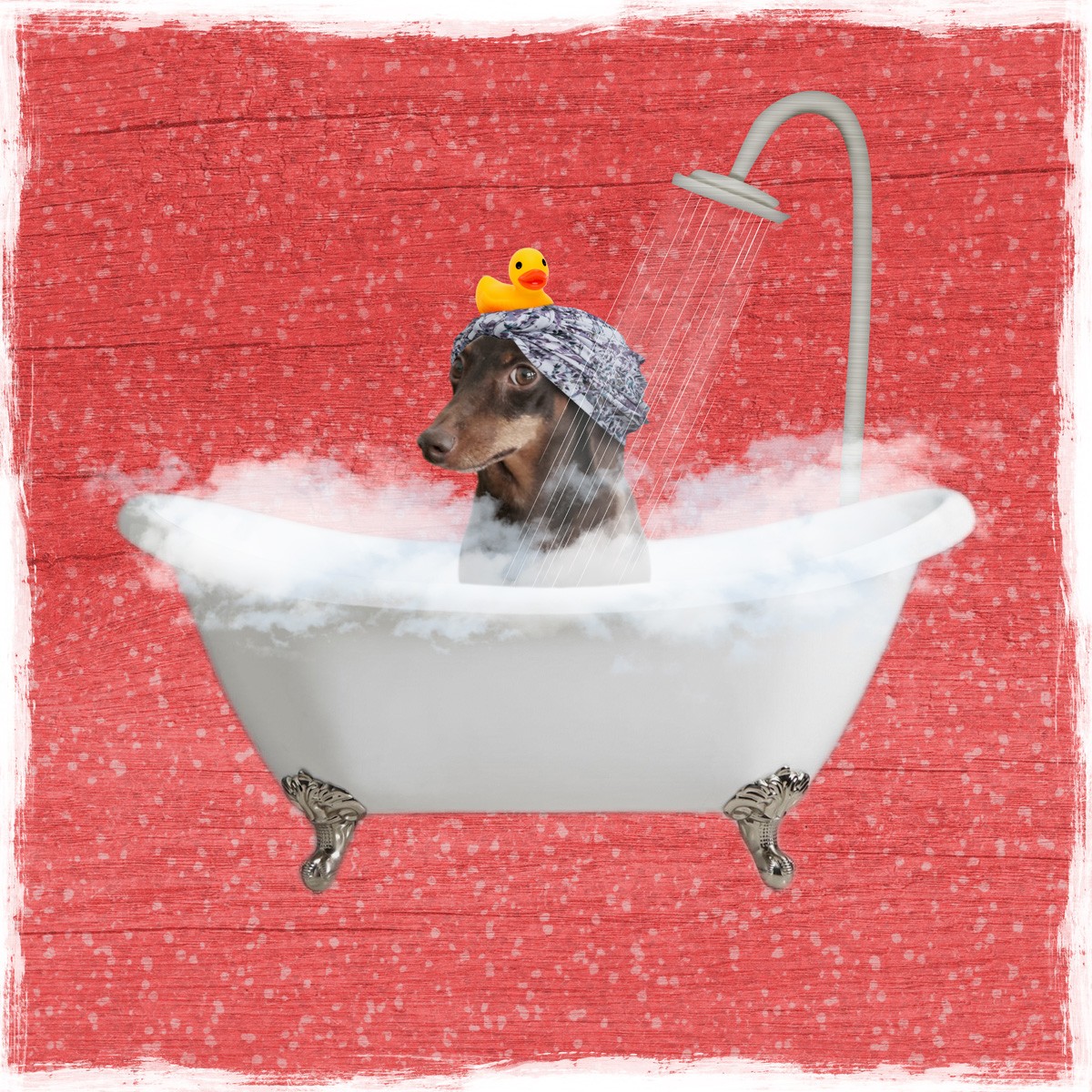 Marcus Prime, Steamy Bath 2 (Hund, Dackel, Badewanne, Dusche, Badeschaum, Badehaube,  witzig, lustig, niedlich, Jugendzimmer, Badezimmer, Grafik, Wunschgröße, bunt)