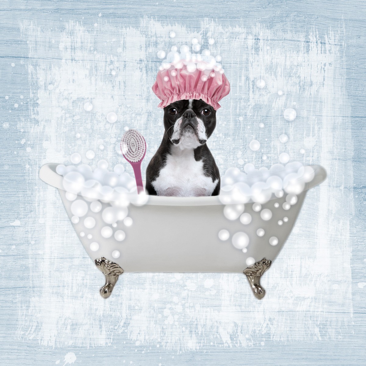 Marcus Prime, Bath Time Bubbles 2 (Hund, Terrier, Badewanne, Dusche, Badeschaum, Badehaube,  witzig, lustig, niedlich, Jugendzimmer, Badezimmer, Grafik, Wunschgröße, bunt)