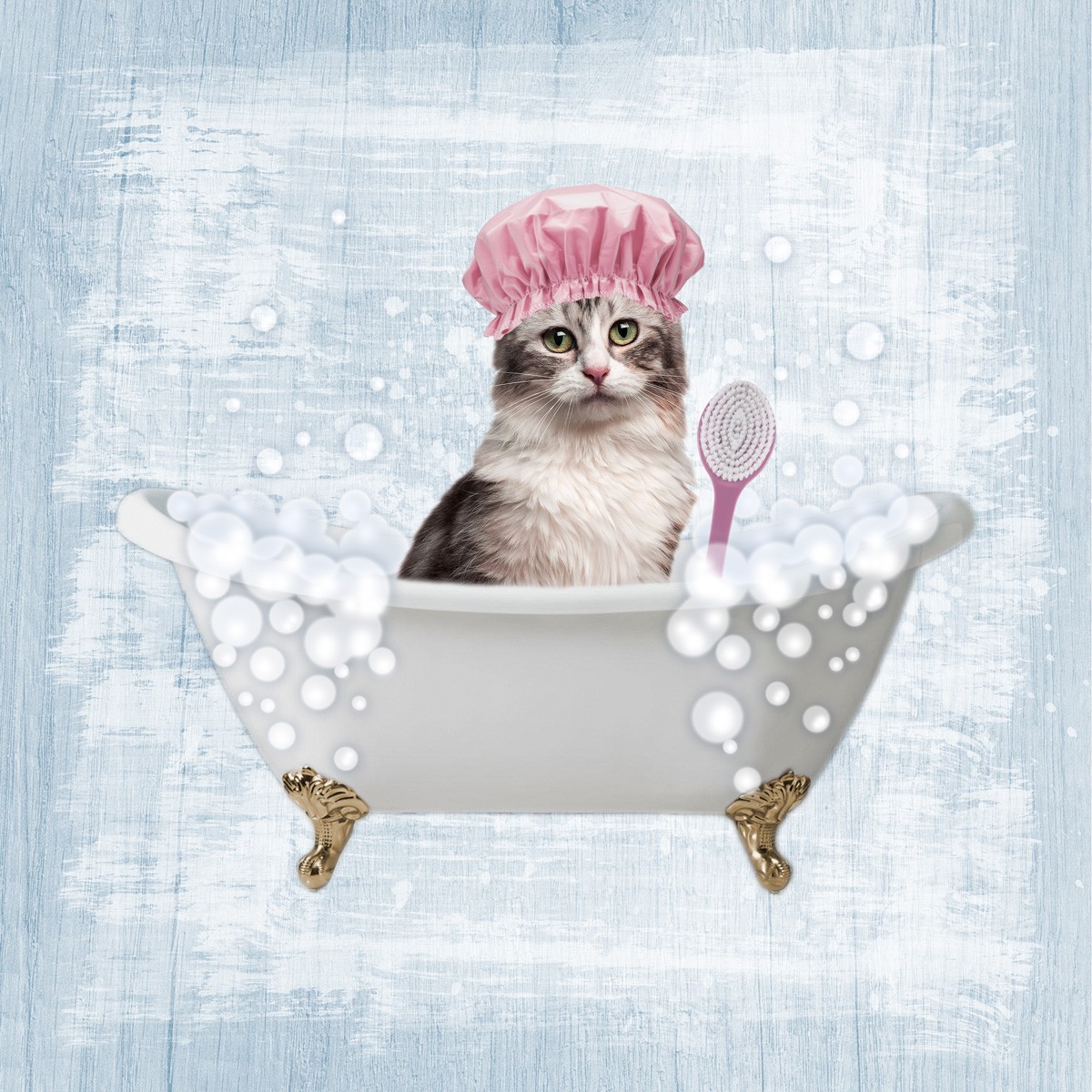 Marcus Prime, Fun Kitty Bath 1 (Katze, Badewanne, Badeschaum, Badehaube,  witzig, lustig, niedlich, Jugendzimmer, Badezimmer, Grafik, Wunschgröße, bunt)