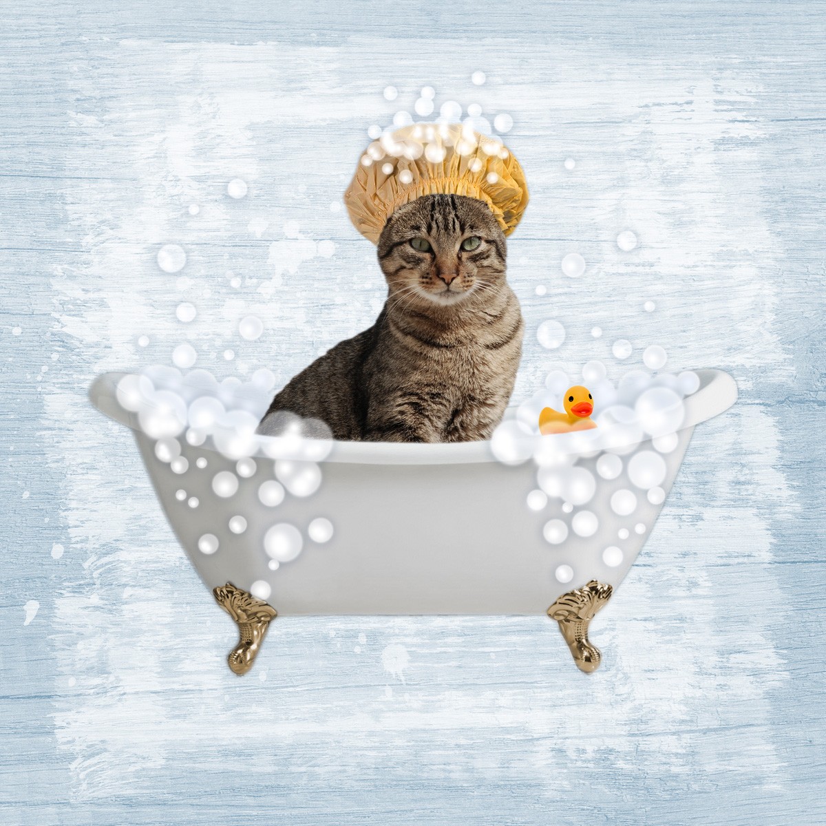 Marcus Prime, Fun Kitty Bath 2 (Katze, Badewanne, Badeschaum, Badehaube,  witzig, lustig, niedlich, Jugendzimmer, Badezimmer, Grafik, Wunschgröße, bunt)