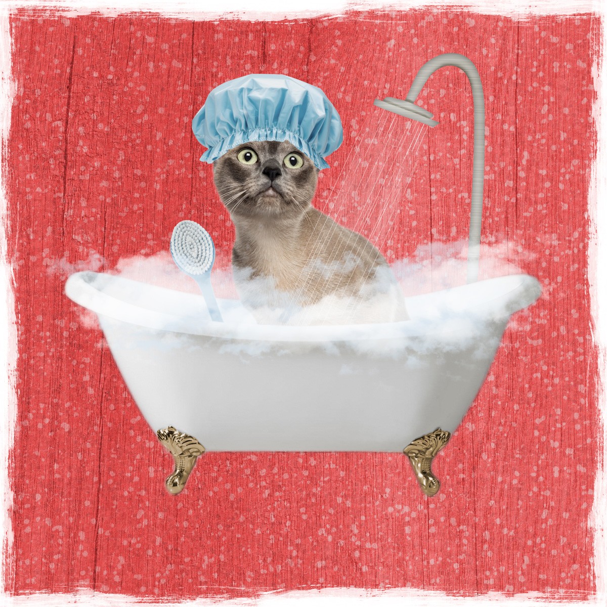 Marcus Prime, Sparkling Kitty 2 (Katze, Badewanne, Dusche, Badeschaum, Badehaube,  witzig, lustig, niedlich, Jugendzimmer, Badezimmer, Grafik, Wunschgröße, bunt)