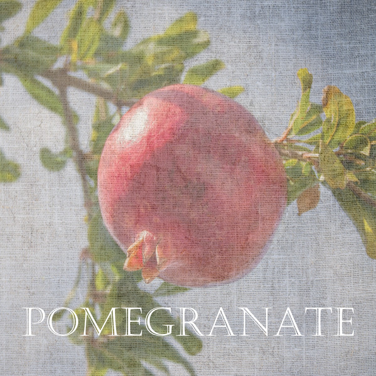 Sheldon Lewis, Pomegranate (Obst, Frucht, Granatapfel, Leinen, Struktur, Fotokunst, Küche, Esszimmer, Wunschgröße, bunt)