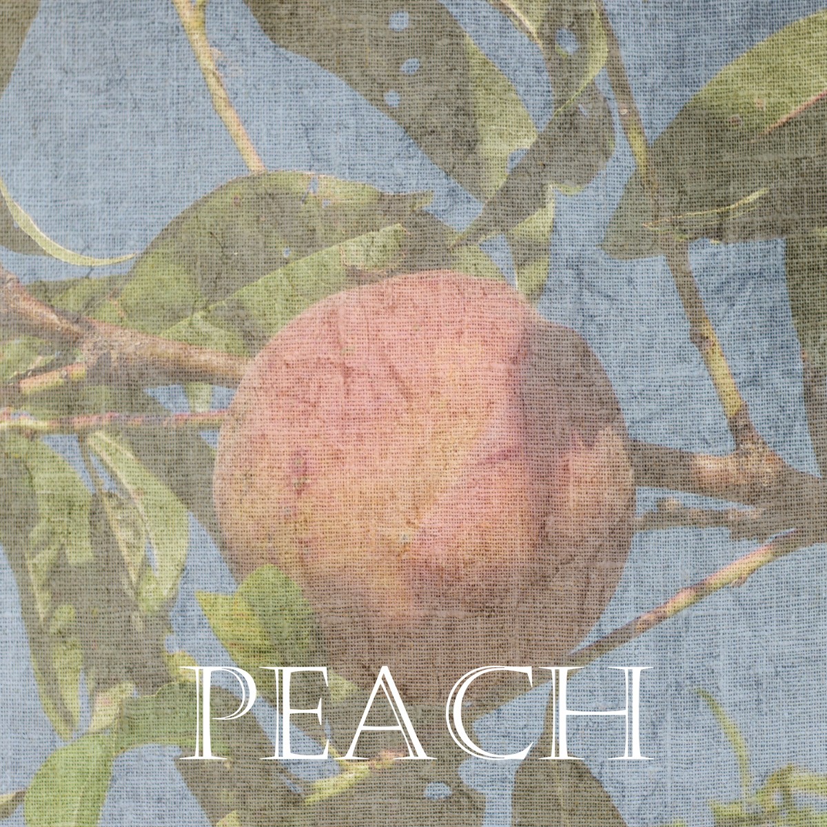 Sheldon Lewis, Peach (Obst, Frucht, Pfirsich, Reife, Pfirsichbaum, Leinenstruktur, Fotokunst, Küche, Esszimmer, Wunschgröße, bunt)