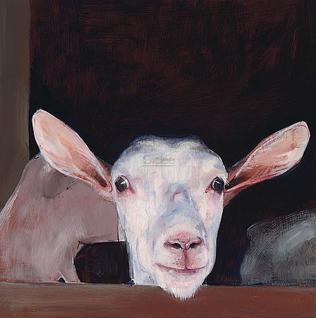 Pieter Pander, Goat's head II (Malerei, Tiere, Tierportrait, Ziege, Ziegenohren, Gatter, Ziegenkopf, Wohnzimmer, Treppenhaus,  bunt)