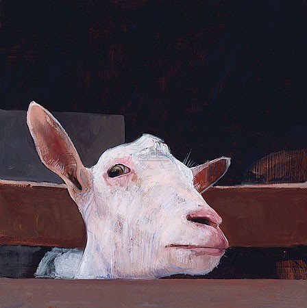 Pieter Pander, Goat's head III (Malerei, Tiere, Tierportrait, Ziege, Ziegenohren, Gatter, Ziegenkopf, Wohnzimmer, Treppenhaus,  bunt)