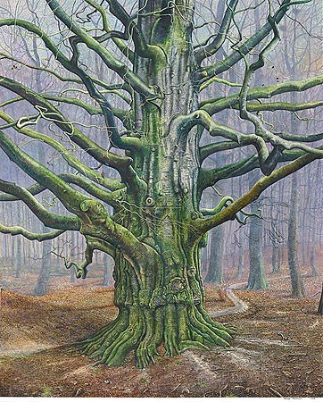 Drago Pecenica, Old beech (Malerei, Natur, Buche, Baum, alter Baum, knorrig, Äste, Wald, Waldweg, Herbst, Einsamkeit, Leere, Wohnzimmer, Treppenhaus,  bunt)