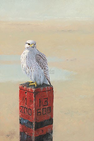 Ulco Glimmerveen, Gyrfalcon (Malerei, Vogel, Raubvogel, Falke, Gerfalke, Pfosten, Überblick, Wohnzimmer, Treppenhaus, bunt)