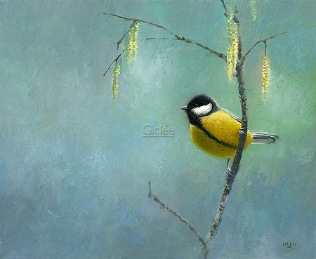 Ulco Glimmerveen, Great Tit (Malerei, Vogel, Meise, Kohlmeise, Zweig, Birkenzweig, Wohnzimmer, Schlafzimmer, Treppenhaus, bunt)