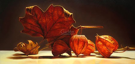 Jan van 't Hoff, Bladder cherry (Malerei, Stilleben, Modern, Lampionbume, Lampions, Blatt, Herbst, Licht / Schatten, Wohnzimmer, Esszimmer, Treppenhaus,bunt)