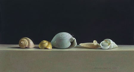 Henk Helmantel, Still life with Shells (Malerei, Stillleben, Tisch, Musches, Meerestiere, Schneckenhaus,  Esszimmer, Küche, Wohnzimmer, bunt)