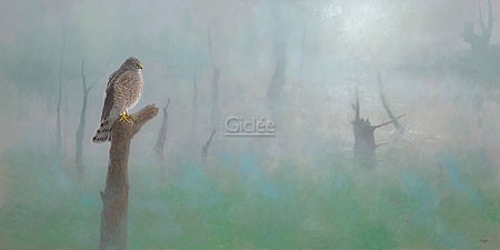 Ulco Glimmerveen, Waiting for the Sun (Malerei, Vogel, Dunst, Nebel, Warten,  Wohnzimmer, Schlafzimmer, Treppenhaus, bunt)