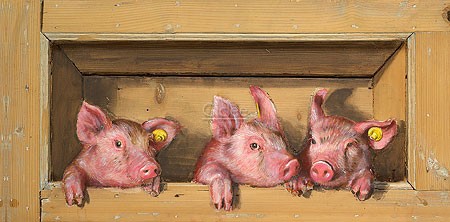Johan Mulder, Three on a row (Malerei, Schweine, Ferkel, Nutztiere, niedlich, putzig,  Esszimmer, Treppenhaus, bunt)