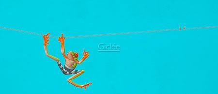 Jasper Oostland, Clothesline (Malerei, Sport, Frosch, sportlicher Frosche, Wäscheleine, Seiltanz, Akrobatik, Balance, Gleichgewicht, witzig, lustig, Fitness, Comic, Sportstudio, hellblau / bunt)